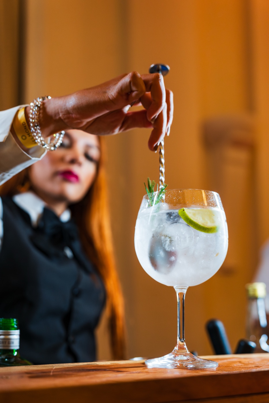 Gin Tônica Citrus